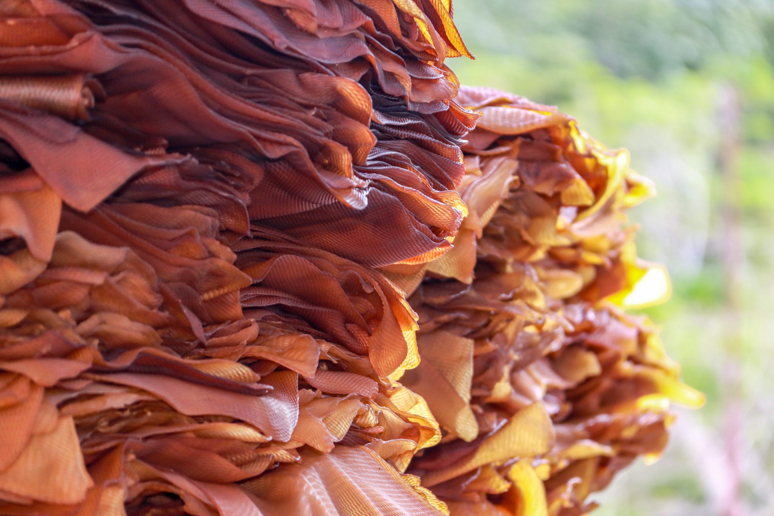Ribbed Smoked Sheets (RSS), supporting image